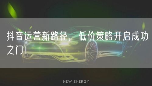抖音运营新路径，低价策略开启成功之门！