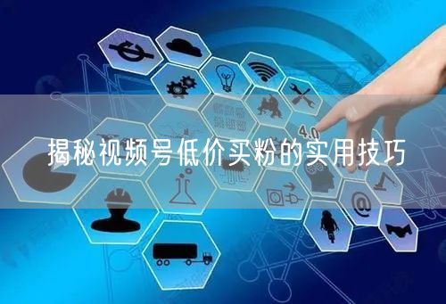 揭秘视频号低价买粉的实用技巧