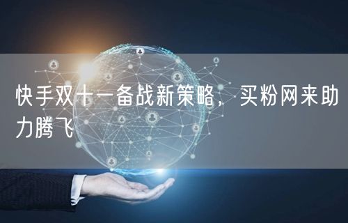 快手双十一备战新策略，买粉网来助力腾飞